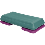 The Step F1004 Step Workout System